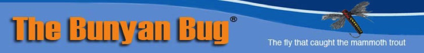 Header _Bunyan Bug